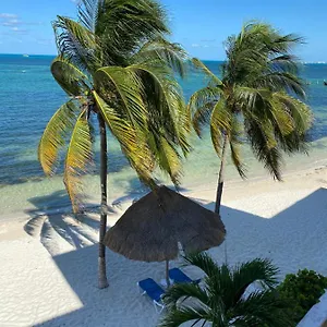  Appartement Tropical